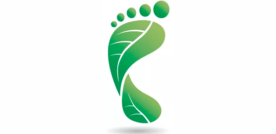 Carbon Footprint